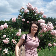  ,   , 53 ,   ,   , c 