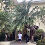 ���������� ����������, ���� ������� ������, 40 ���, ������������ ��� ������, ����� � ���������