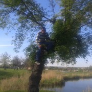  ,   Sahka, 36 ,   ,   , c 