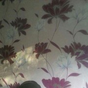  ,    , 56 ,   ,   , c 