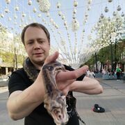 ���������� ���������, ���� ������� �����, 34 ����, ������������ ��� ������, ����� � ���������, c�������� ���������