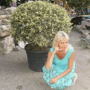  ,   , 66 ,  