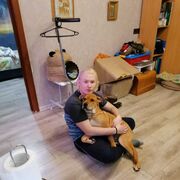  ,   , 23 ,     , c , 