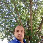 ���������� ������ ��������, ���� ������� �����, 41 ���, ������������ ��� ������, ����� � ���������, c�������� ���������