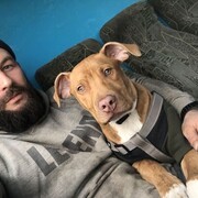 ���������� ������, ���� ������� ����, 33 ����, ������������ ��� ������, ����� � ���������