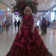 ���������� ������, ���� ������� ������, 51 ���, ������������ ��� ������, ����� � ���������