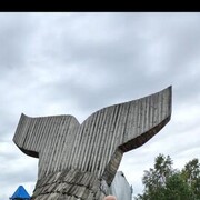  ,  , 40