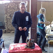 ���������� ������, ���� ������� ������, 50 ���, ������������ ��� ������, ����� � ���������, c�������� ���������