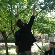 ���������� �������, ���� ������� Kekee, 34 ����, ������������ ��� ������, ����� � ���������, c�������� ���������