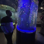 ���������� ������, ���� ������� �����, 40 ���, ������������ ��� ������, ����� � ���������, c�������� ���������, ���������