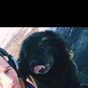 ���������� ��������, ���� ������� �����, 35 ���, ������������ ��� ����� � ���������, c�������� ���������