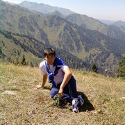 ���������� ��������, ���� ������� KOT, 38 ���, ������������ ��� ������