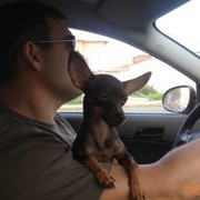  -,   Kirill 9, 52 ,   