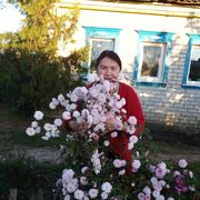  ,   , 52 ,   ,   