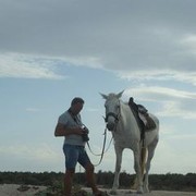  ,   Roma, 63 ,   ,   , c 