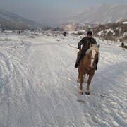 ���������� ������, ���� ������� �����, 41 ���, ������������ ��� ������, ����� � ���������, c�������� ���������