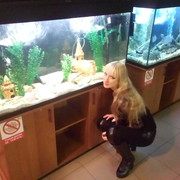 ���������� ������ ��������, ���� ������� ��������, 43 ����, ������������ ��� ����� � ���������, c�������� ���������