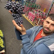  Antioch,   Ozgur, 36 ,   ,   
