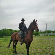 ���������� ���������, ���� ������� ������, 45 ���, ������������ ��� ������, ����� � ���������, ���������