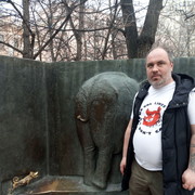 ���������� ���������, ������� ����, 47