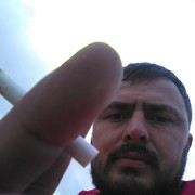  ,  , 41