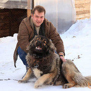 ���������� �������������-����������, ���� ������� �������, 39 ���, ������������ ��� ������