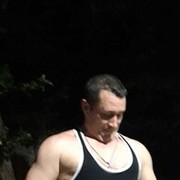   ,   , 49 ,   
