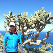 ���������� �������, ���� ������� ������, 45 ���, ������������ ��� ������, ����� � ���������