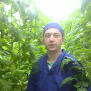  ,   , 42 ,   