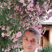  ,   , 51 ,   ,   