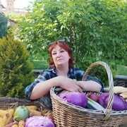 ���������� �������-����������, ���� ������� �����, 59 ���, ������������ ��� c�������� ���������, ���������