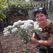 ���������� ������-��-����, ���� ������� ��������, 53 ����, ������������ ��� c�������� ���������