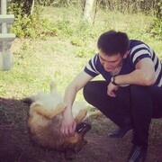  ,   Damin, 33 ,   ,   , c 