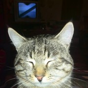 ���������� ������, ���� ������� ������, 45 ���, ������������ ��� ������, ����� � ���������, c�������� ���������