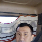  ,   Damir, 43 ,   ,   , c 