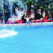 ���������� �������, ���� ������� Farrux, 33 ����, ������������ ��� ������, ����� � ���������, c�������� ���������