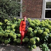  Sint-Truiden,   , 27 ,   c , 
