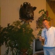 ���������� ������ �����, ���� ������� ���������, 43 ����, ������������ ��� ������, ����� � ���������, c�������� ���������