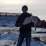 ���������� ���������, ���� ������� ������, 45 ���, ������������ ��� ����� � ���������, c�������� ���������