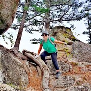 ���� �������� 2025 �