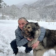  ,   , 43 ,   ,   