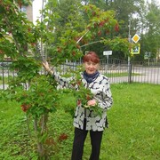  ,   , 79 ,   ,   