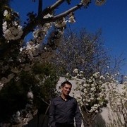  ,   , 43 ,   