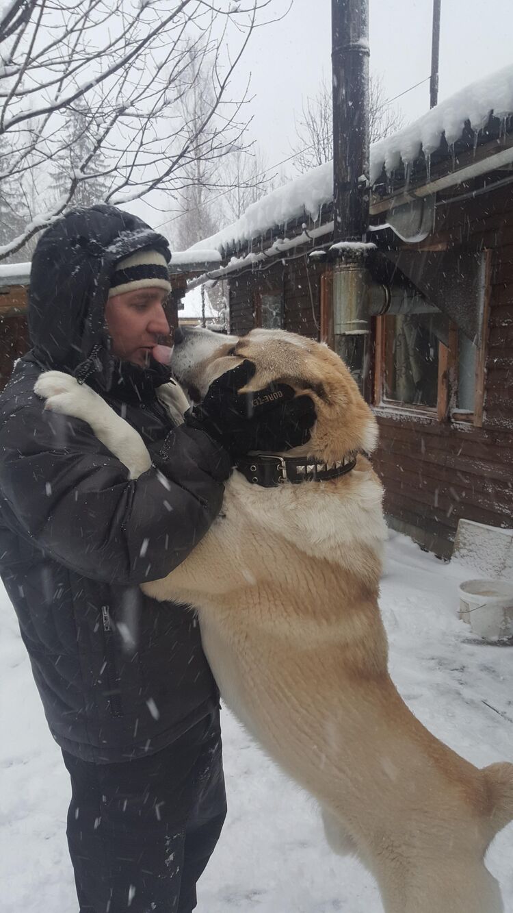  53868488  Sergey, 48 ,    