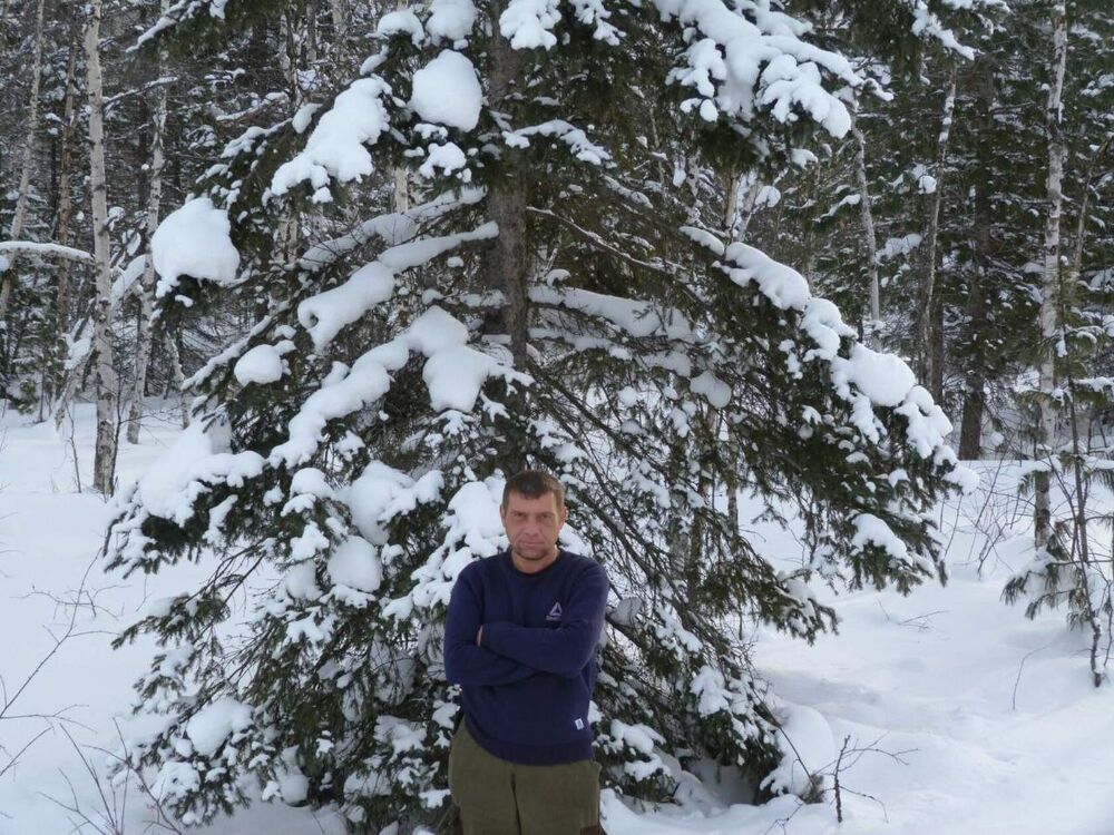 ���� 54991798 ������� ����, 43 ����, ���� ���������� � ����