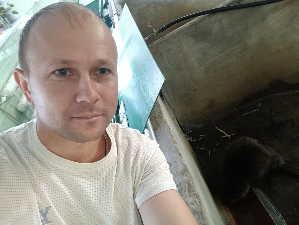 ���� 53678678 ������� ���������, 37 ���, ���� ���������� � ��������