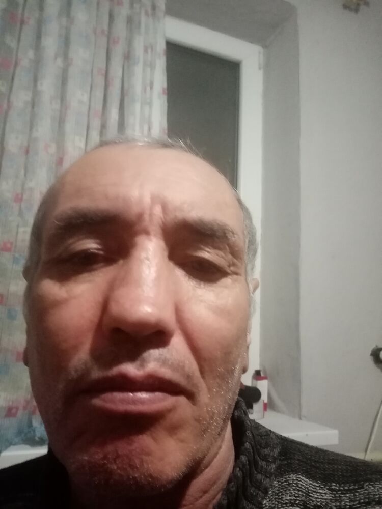  33348848  , 62 ,    