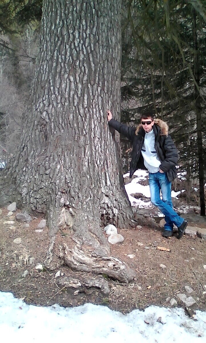 ���� 6251928 ������� �����, 37 ���, ���� ���������� � �����������