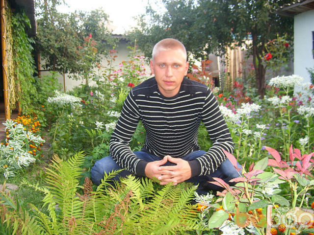 ���������� ������, ���� ������� �����, 37 ���, ������������ ��� ������