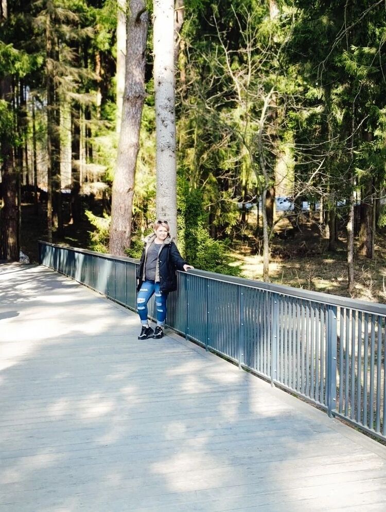 ���������� �����, ���� ������� ����, 40 ���, ������������ ��� c�������� ���������, ���������